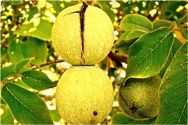 夢到幫人賣廢物是凶兆還是吉兆_周公解夢官網