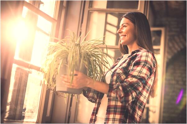 夢到自己水腫怎么說_周公解夢官網