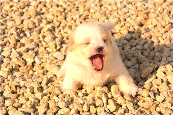 夢見有朋友死代表著什麼？_周公解夢官網