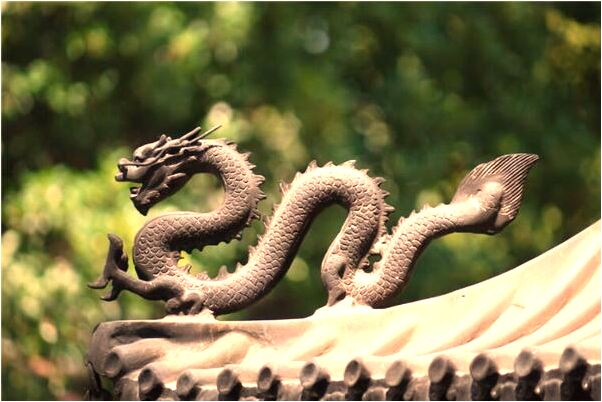 夢到了很多樣蔬菜是什麼預兆_周公解夢官網