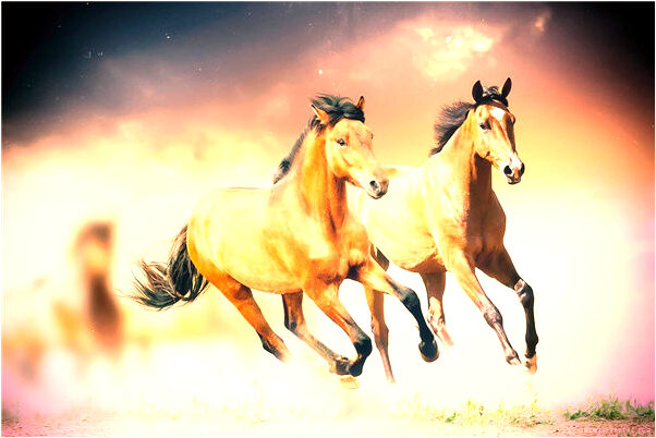 夢到了情人不理自己是凶兆還是吉兆_周公解夢官網