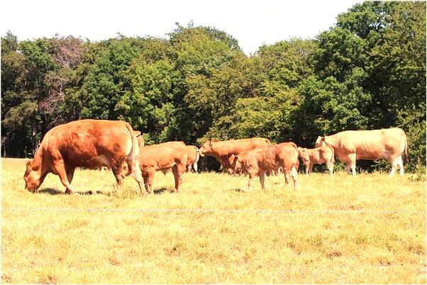 夢到了別人向自己臉上潑水代表著什麼？_周公解夢官網