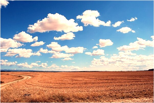 夢見自己殺野豬代表什麼_周公解夢官網