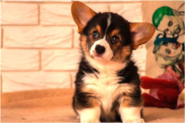 夢到了我媽媽罵我會是什麼預兆_周公解夢官網