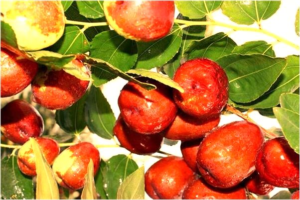 夢到了自己殺死姐姐預兆了什麼嗎_周公解夢官網