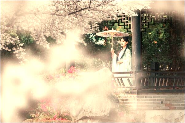 夢見弄死很多蜘蛛啥意思_周公解夢官網