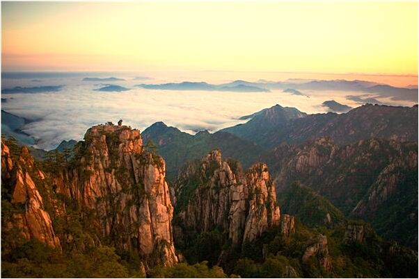 夢到買紅豆預示著什麼_周公解夢官網