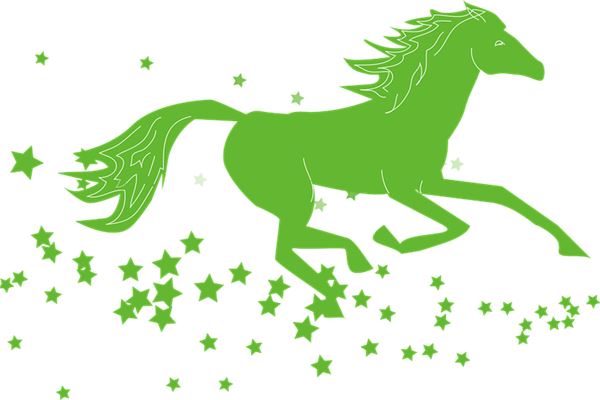 屬馬2020年運勢_十二生肖