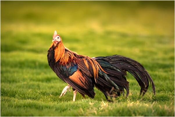 夢到了很不行的人意味著什麼_周公解夢官網