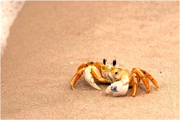 夢見愛人跟別人有孩子了預示了什麼_周公解夢官網