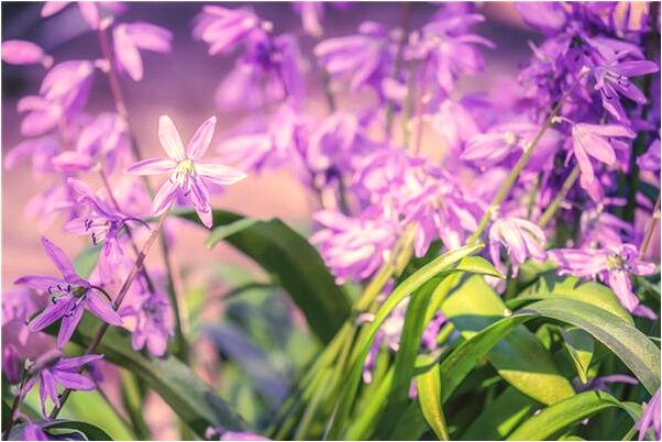 夢到老人住院會是什麼預兆_周公解夢官網