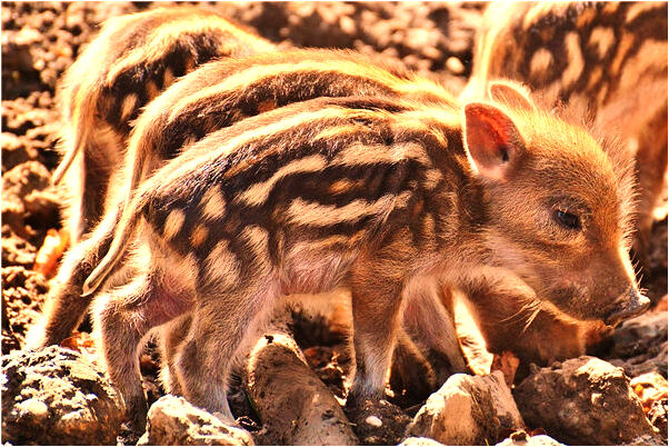 夢到睡在高處啥意思_周公解夢官網