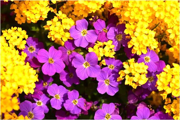 夢見鬼吃自己預示什麼_周公解夢官網