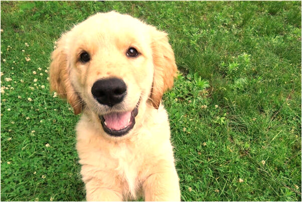 夢到一個我心動的男人代表什麼_周公解夢官網