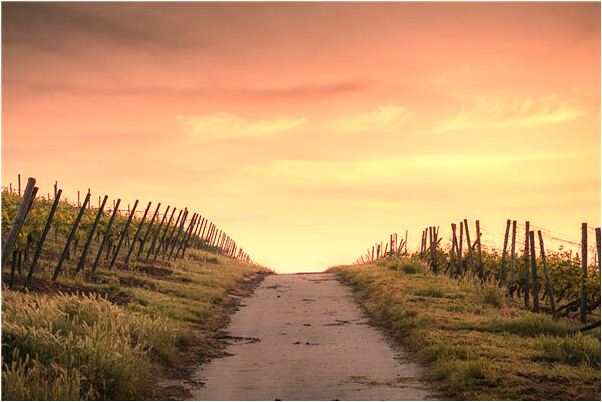 夢到了頭髮落意味著什麼_周公解夢官網