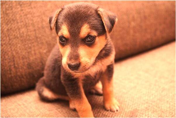 夢見別人有關自己的日記是什麼兆頭_周公解夢官網