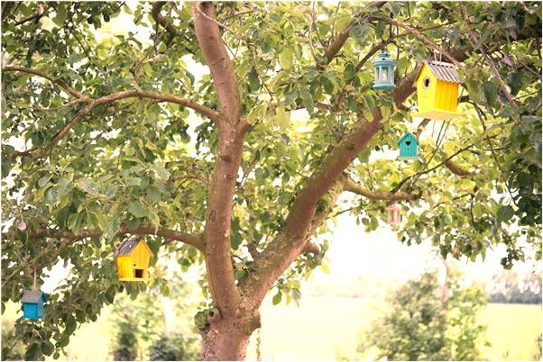 夢到了問算命的想要寶寶怎么樣_周公解夢官網