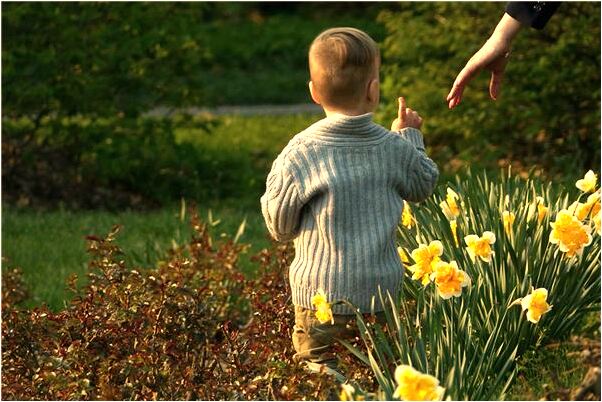 夢見藏獒吃小孩代表什麼_周公解夢官網