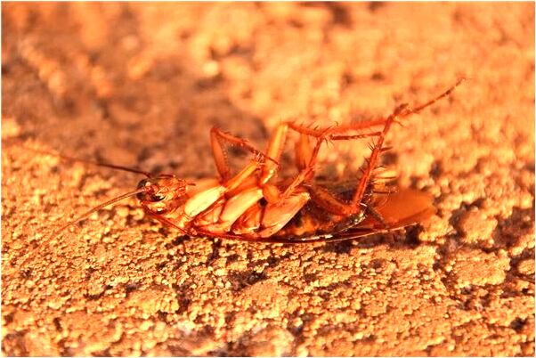 夢見檢查衛生是啥預兆_周公解夢官網