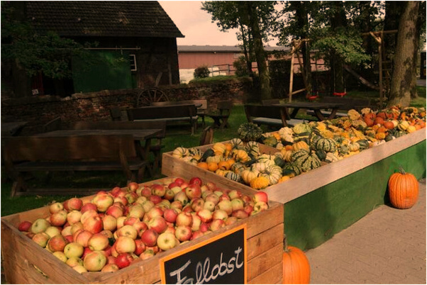 夢到了腳底有螞蝗會是什麼預兆_周公解夢官網