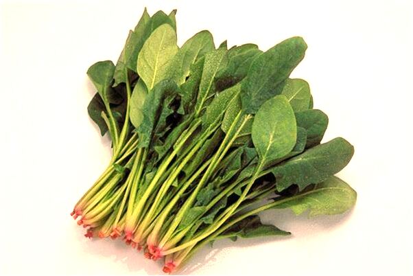 夢到了讓他人給自己和朋友照相有什麼含義_周公解夢官網