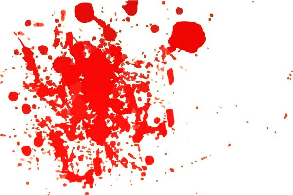 夢到了女兒變灰孔雀怎么回事_周公解夢官網