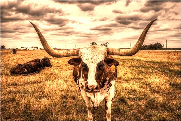 夢見把孩子給人了有什麼意思_周公解夢官網