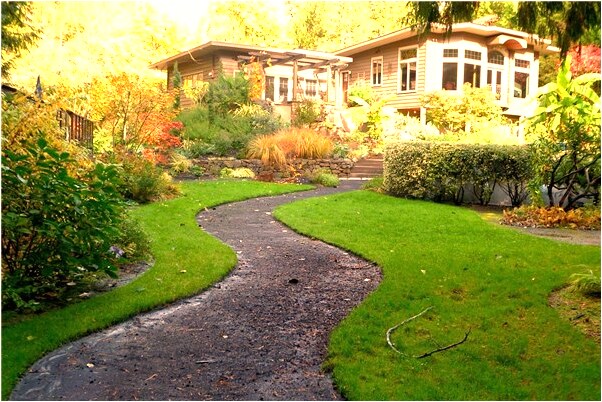 夢到遍地螞蟻代表著什麼_周公解夢官網