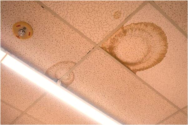 夢到了公公凶是什麼意思_周公解夢官網