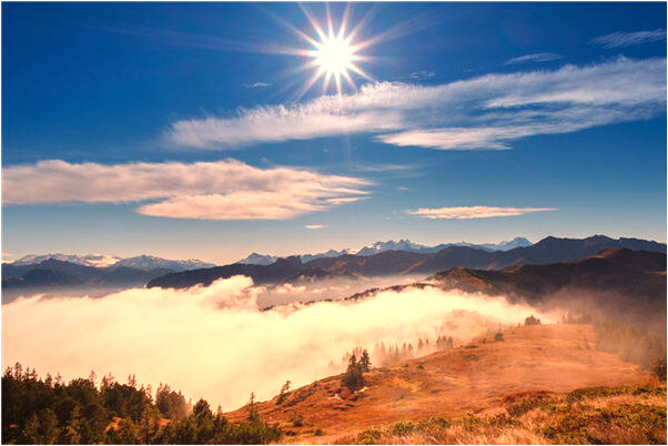 夢到父親打牌輸了錢罵人啥意思_周公解夢官網