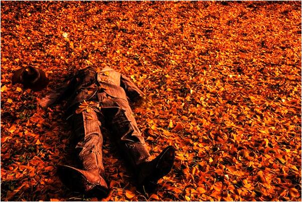 夢見掉牙一顆接一顆的掉是什麼徵兆_周公解夢官網