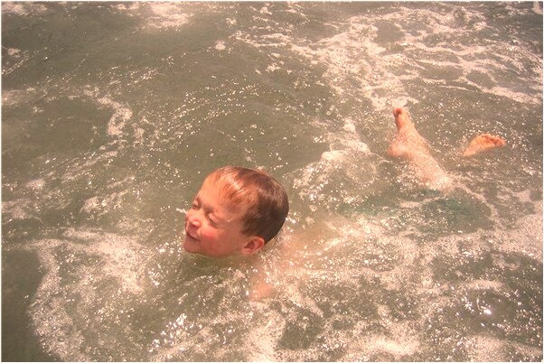 夢到沒有果實的蘋果樹是什麼意思_周公解夢官網