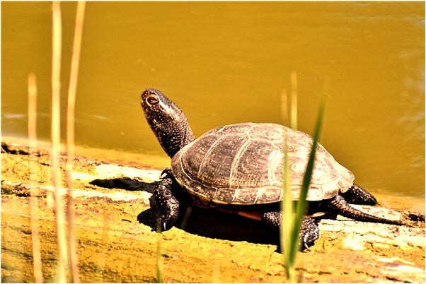 夢見高壓鍋噴血什麼寓意_周公解夢官網
