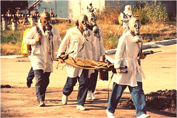 夢到了一條魚被我弄上岸死了是凶兆還是吉兆_周公解夢官網