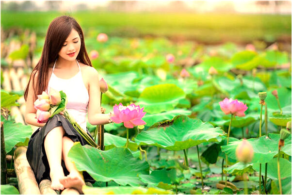 夢見老槐樹上綁著金色元寶是什麼啟示_周公解夢官網