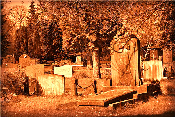 夢到給狗放血餵魚預示了什麼_周公解夢官網