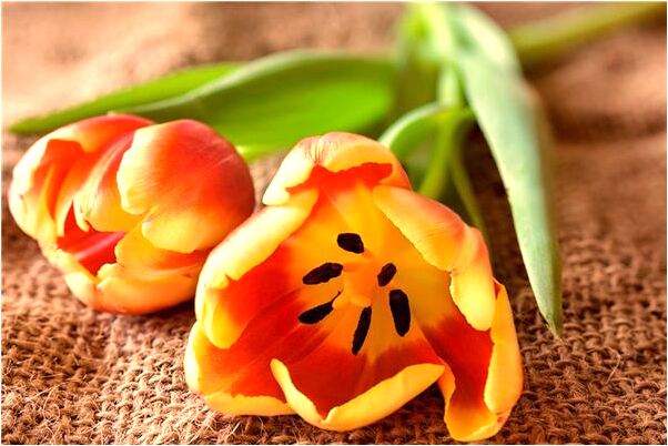 夢見女兒掉樓摔死是什麼徵兆_周公解夢官網