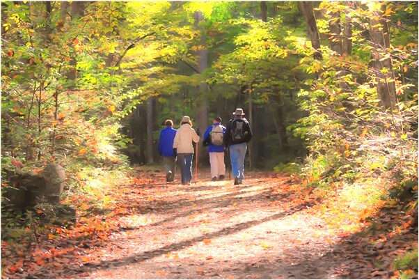 夢到柜子還有鑰匙但打不開是什麼啟示_周公解夢官網