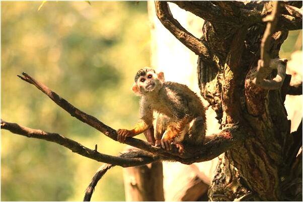 夢到吹大風颳破玻璃有什麼說法_周公解夢官網