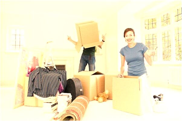 夢見二條蛇爬進屋子被我打死了會是什麼預兆_周公解夢官網