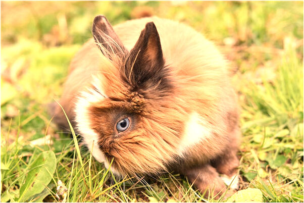 夢見自己的叔叔跨過了小水溝會有什麼預兆_周公解夢官網