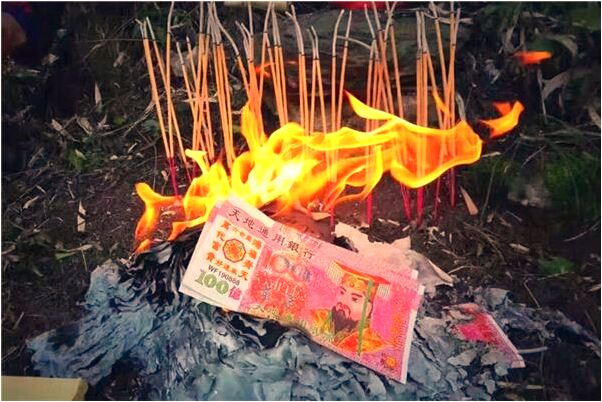 夢到鳥兒飛進室內會有什麼預兆_周公解夢官網