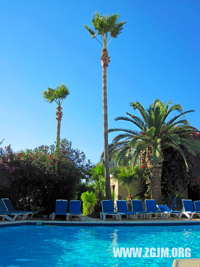 夢見爬山爬不上去_周公解夢夢到爬山爬不上去是什麼意思_做夢夢見爬山爬不上去好不好_周公解夢官網