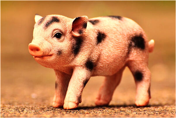 夢到了從橋上落水有什麼寓意嗎？_周公解夢官網