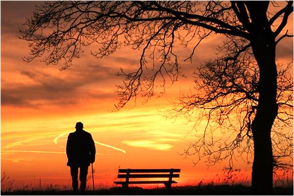 夢見三隻獅子是什麼預兆？_周公解夢官網