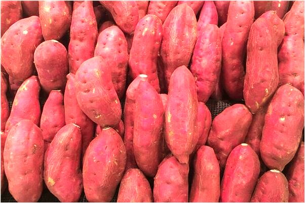 夢到了自己的女朋友親自己代表著什麼?_周公解夢官網