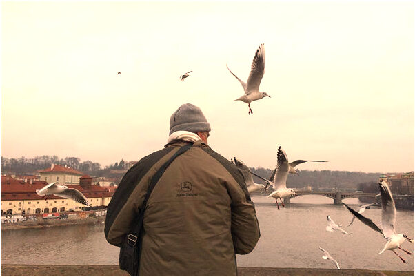 夢見奇怪的車子意味什麼_周公解夢官網