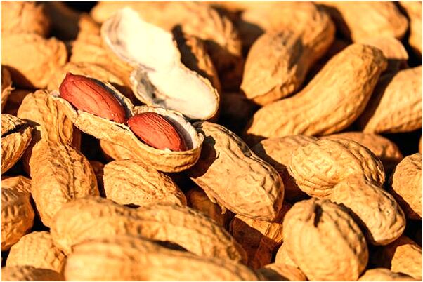 夢見包蒸餃子有什麼徵兆_周公解夢官網