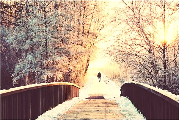 夢見很多小雞崽沒有食吃代表著什麼？_周公解夢官網