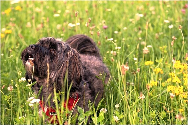 夢到了攀上懸崖什麼寓意_周公解夢官網